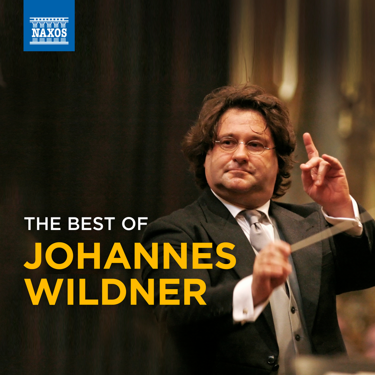 Johannes Wildner's avatar image
