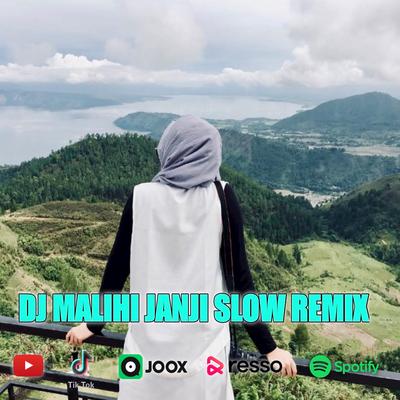 DJ MALIHI JANJI SLOW REMIX (INS)'s cover