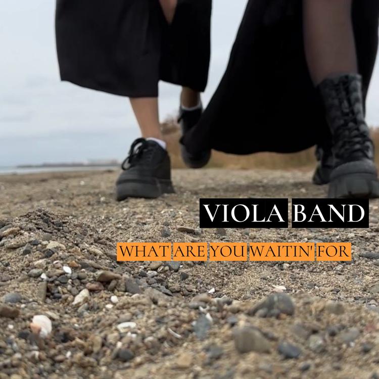 Viola Band's avatar image