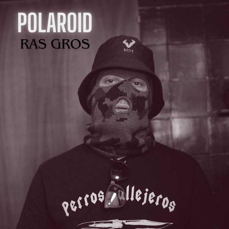 Ras Gros's avatar image