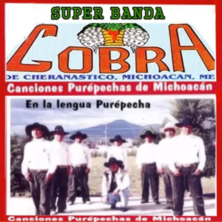 Super Banda Cobra's avatar image