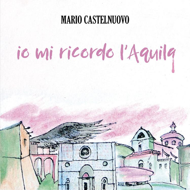 Mario Castelnuovo's avatar image