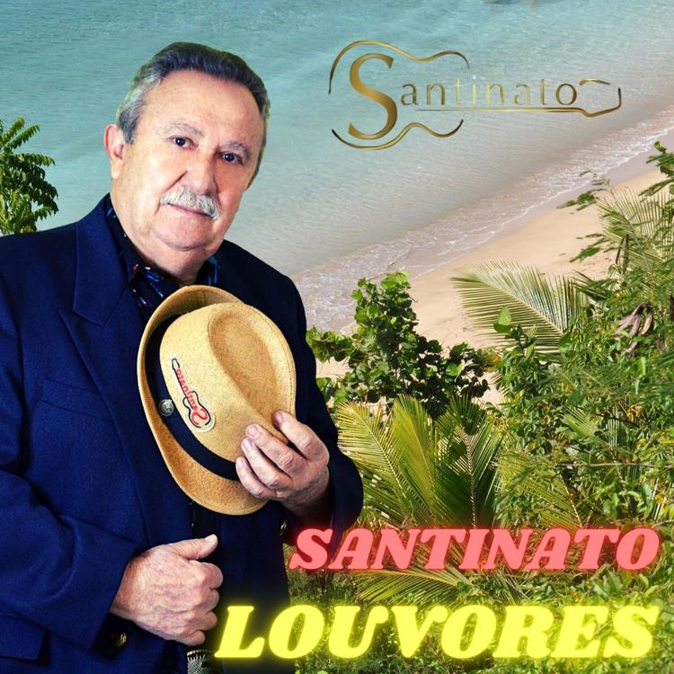 Santinato's avatar image