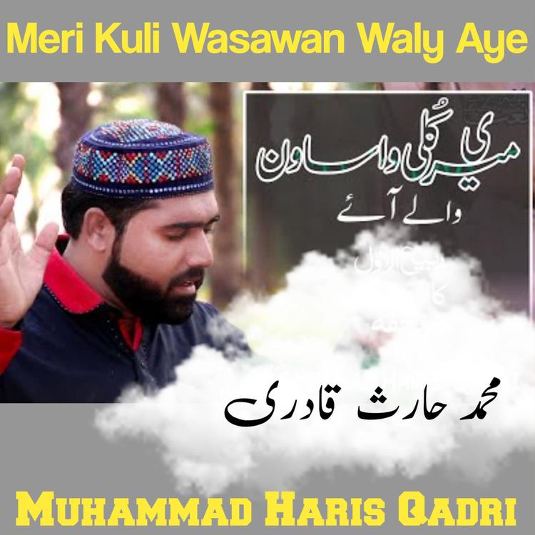 Muhammad Haris Qadri's avatar image