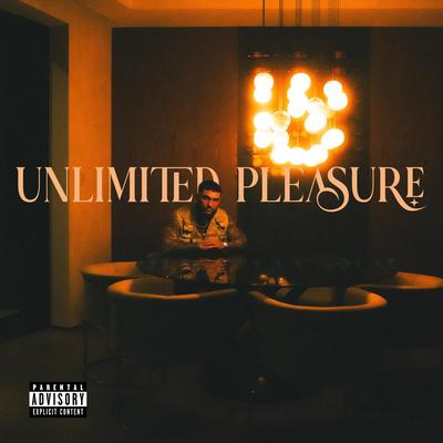 Unlimited Pleasure By Mondayswithmax's cover