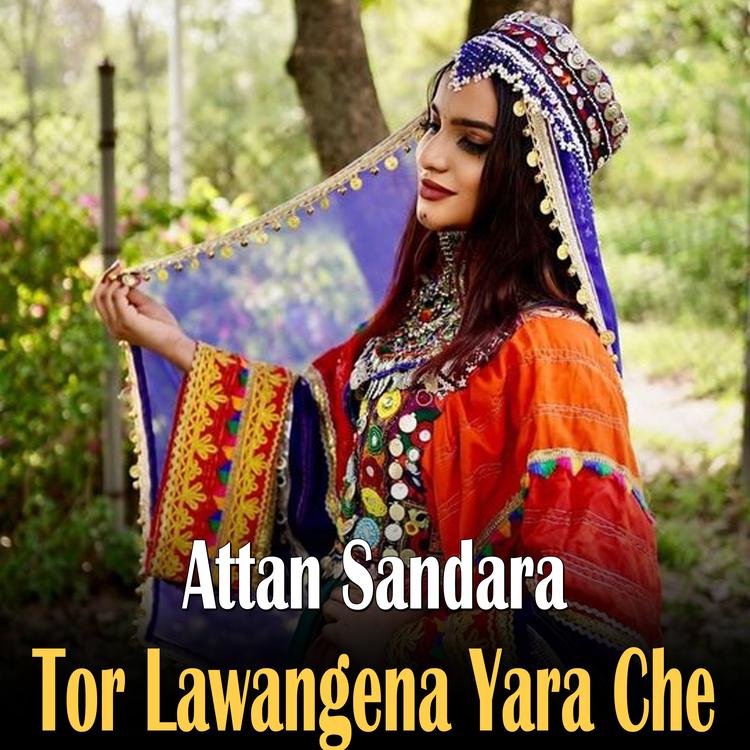 Attan Sandara's avatar image