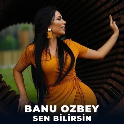 Banu Ozbey's cover