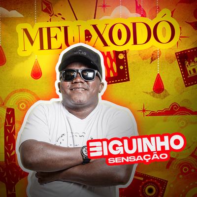 Meu Xodó By BIGUINHO SENSAÇÃO's cover