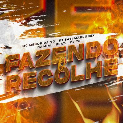 Fazendo o Recolhe (feat. Dj TC)'s cover