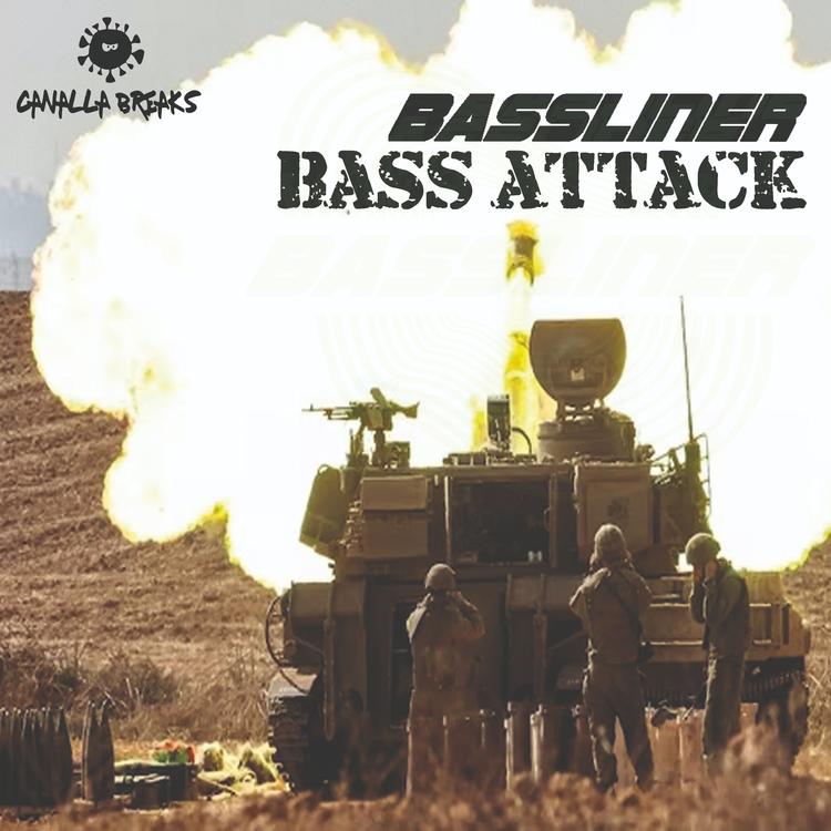 Bassliner's avatar image