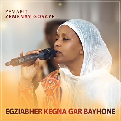 Zemarit Zemenay Gosaye's cover