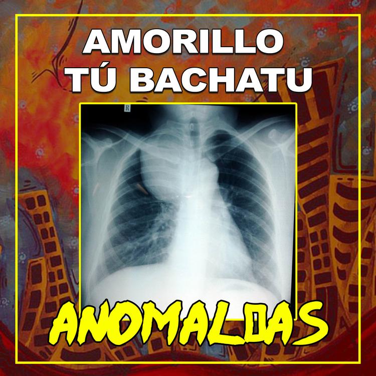 Amorillo Tu Bachatu's avatar image