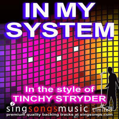 In My System (Karaoke) (In the style of Tinchy Stryder)'s cover