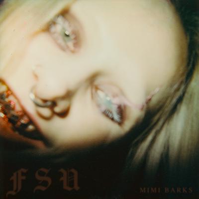 FSU By Mimi Barks's cover