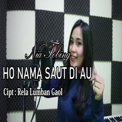 Ho Nama Saut Di Au's cover