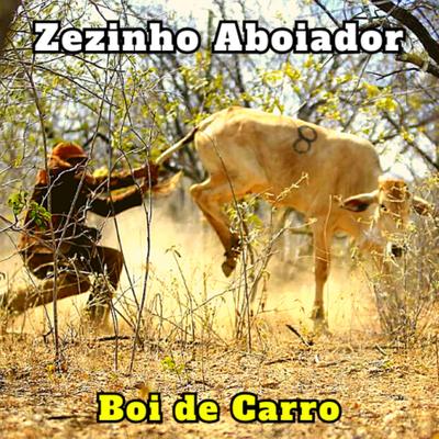 Lamento de um Vaqueiro (Cover) By Zezinho Aboiador's cover