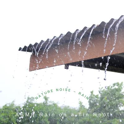 Soundtrack of the Tropical Rain By ASMR Rain on a Tin Roof's cover