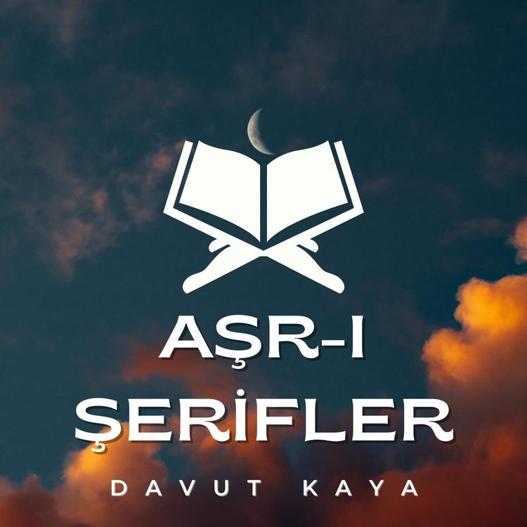 Davut Kaya's avatar image