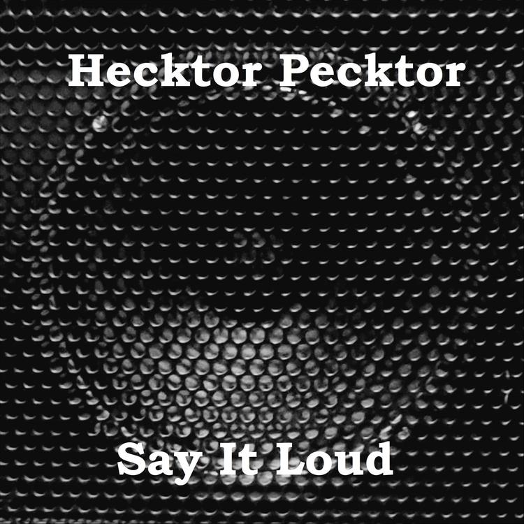 Hecktor Pecktor's avatar image