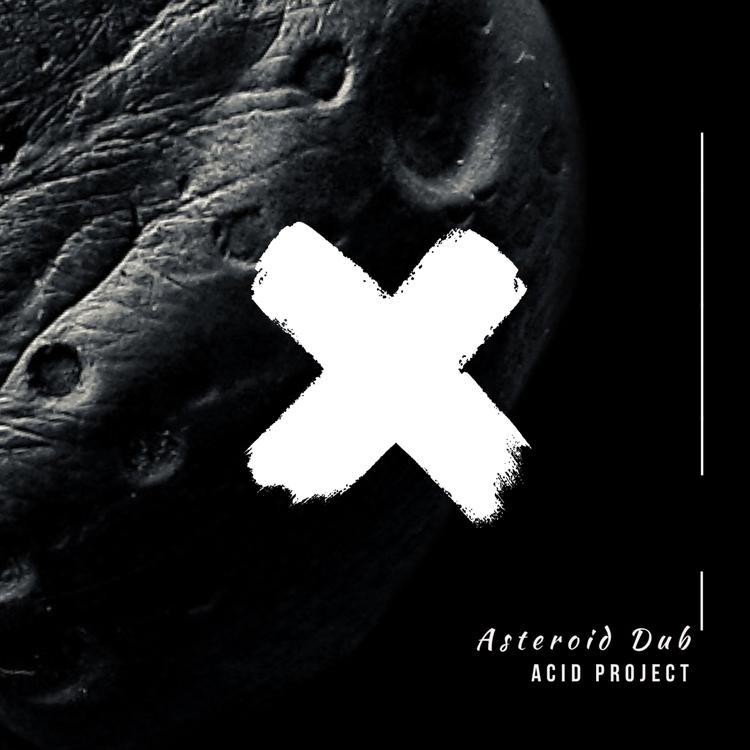 Acid Project's avatar image