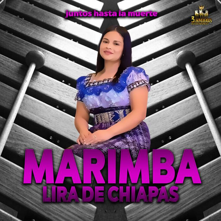 Marimba Lira De Chiapas's avatar image