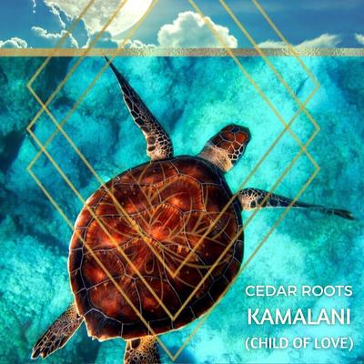 Kamalani (Child of Love)'s cover