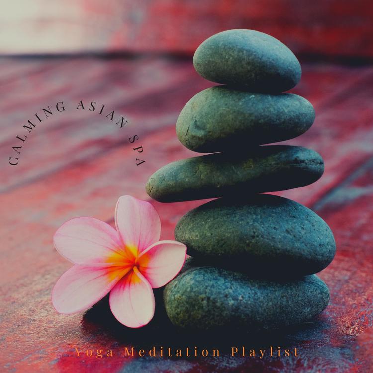 Yoga Meditation Playlist's avatar image