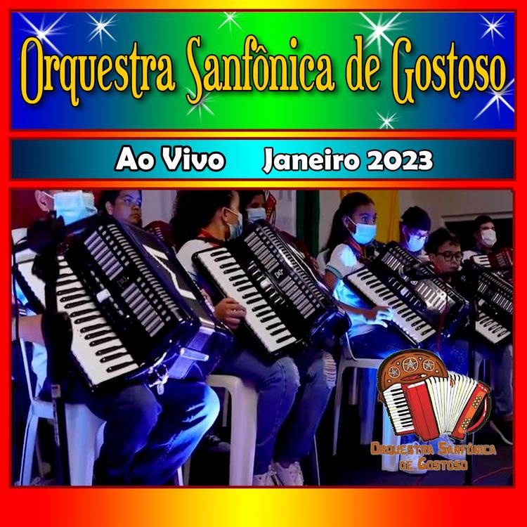 Orquestra Sanfônica de Gostoso's avatar image