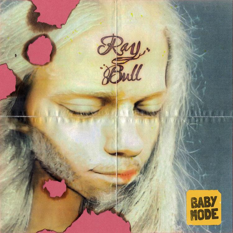 Ray Bull's avatar image