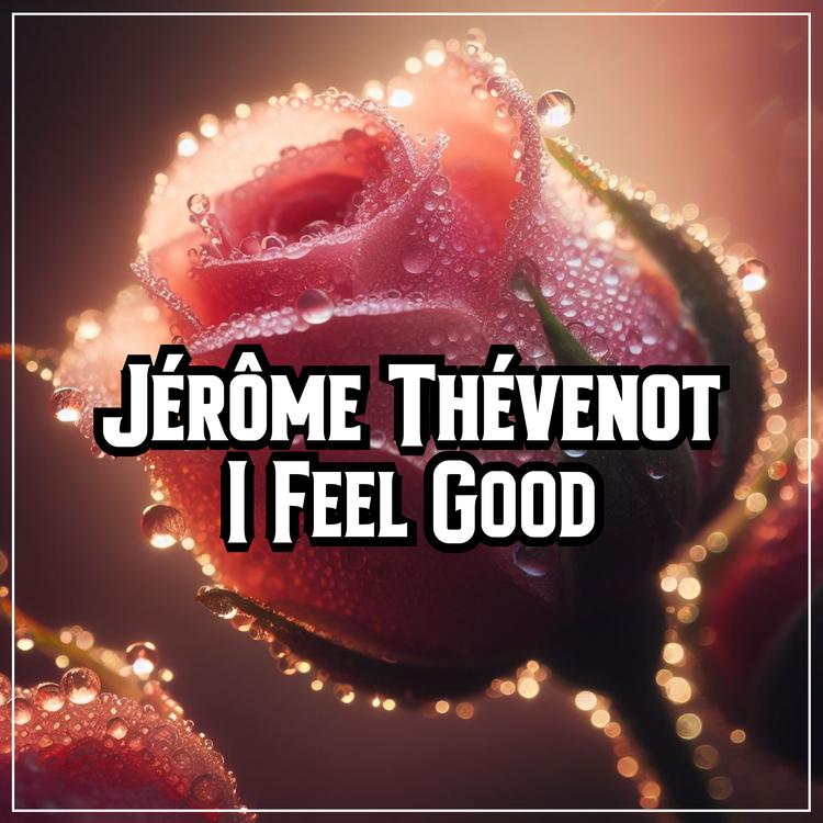 Jerome Thevenot's avatar image