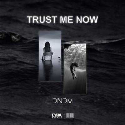 Trust Me Now's cover