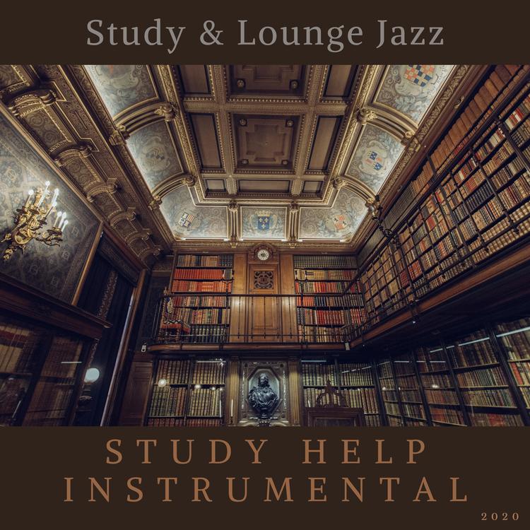 Study Help Instrumental's avatar image