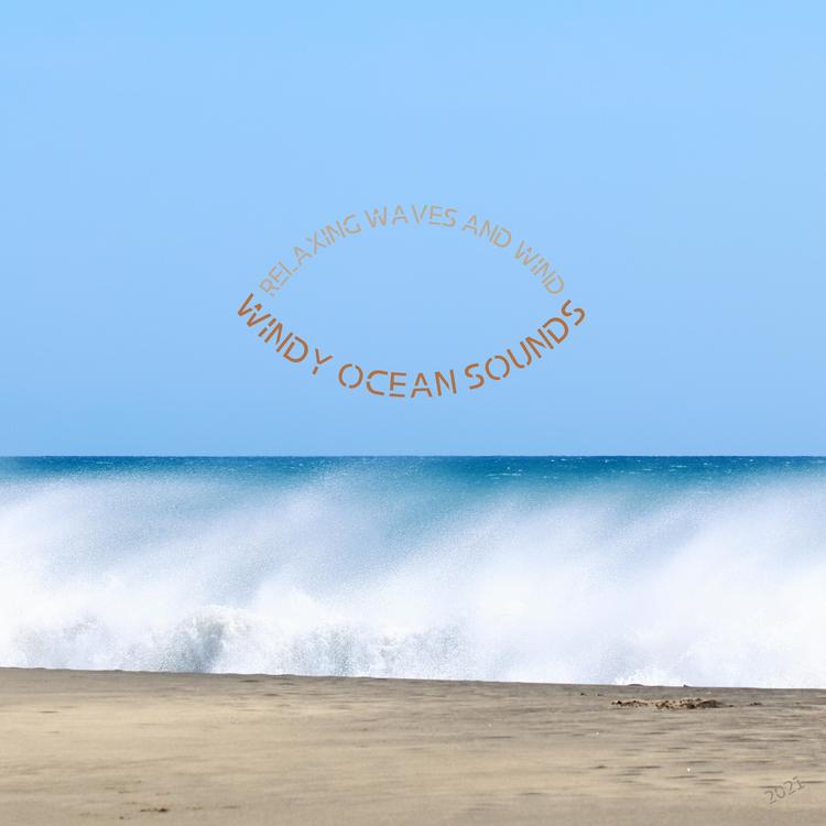 Windy Ocean Sounds's avatar image