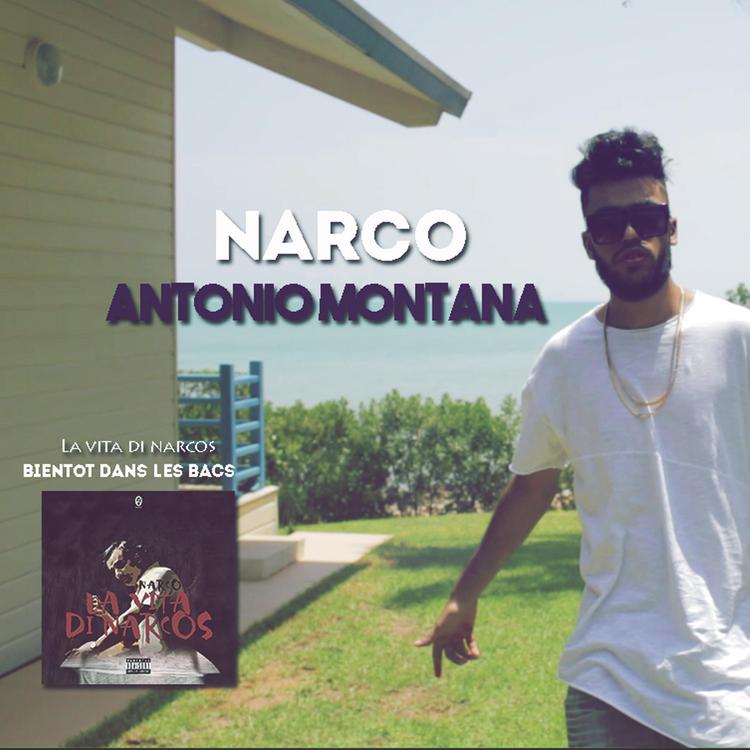 Narco's avatar image