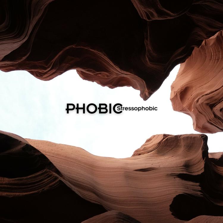 Phobic's avatar image