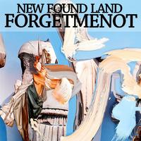 New Found Land's avatar cover