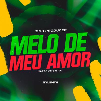Melô de Meu Amor (Instrumental) By Igor Producer's cover
