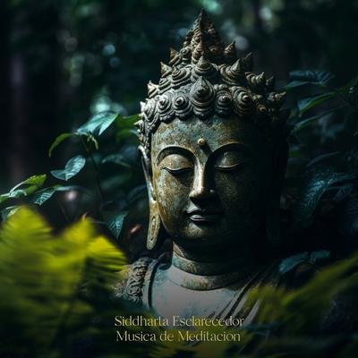 Musica de Meditacion By Siddharta Esclarecedor's cover