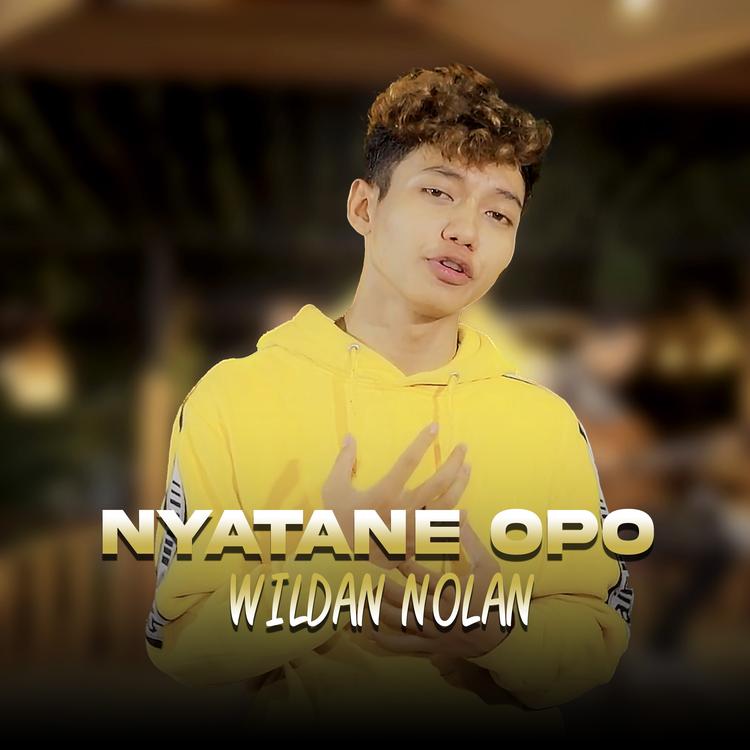 Wildan Nolan's avatar image