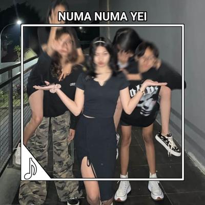 DJ NUMA NUMA YEI's cover