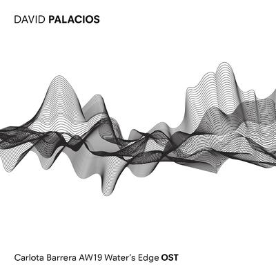 David Palacios's cover