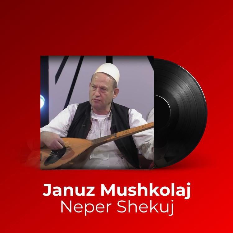 Januz Mushkolaj's avatar image