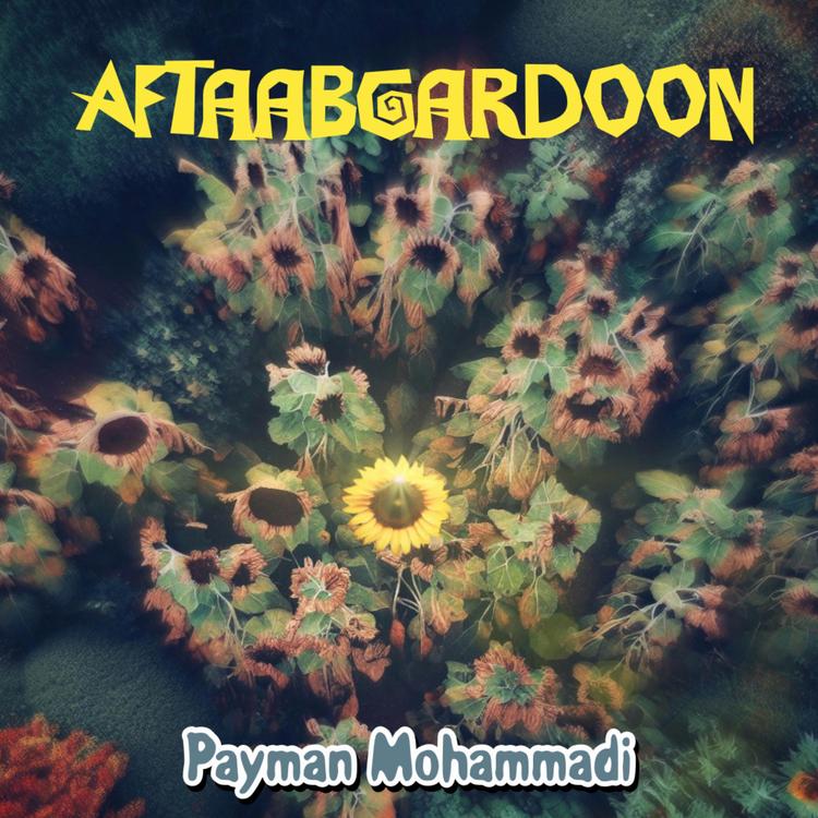 payman Mohammadi's avatar image