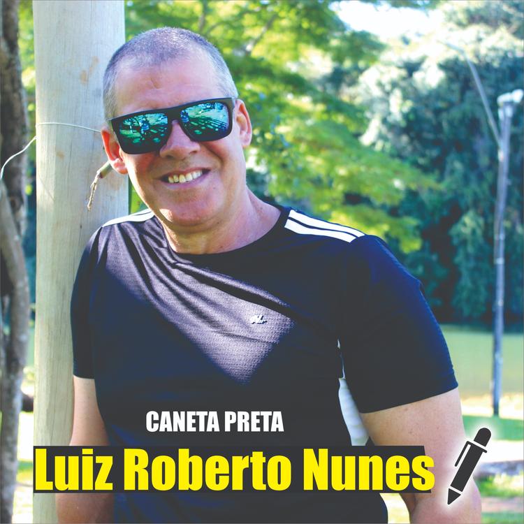 Luis Roberto Nunes's avatar image