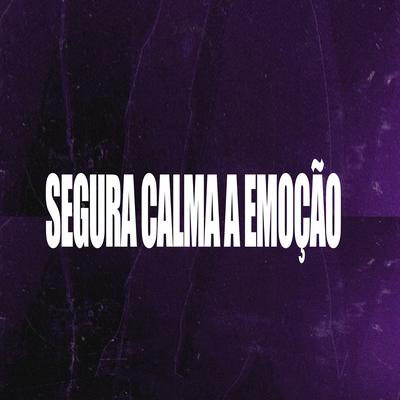 Segura Calma a Emoção By DJ ANG's cover