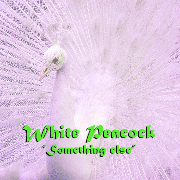 White Peacock's avatar image