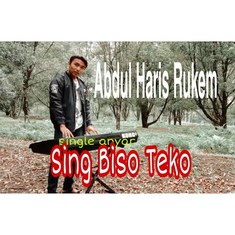 Abdul Haris Rukem's avatar image