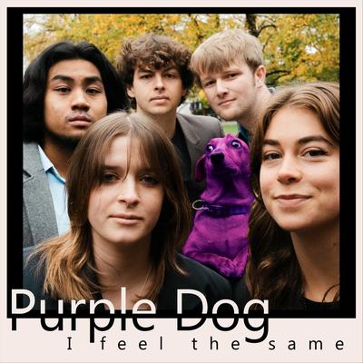 Purple Dog's cover
