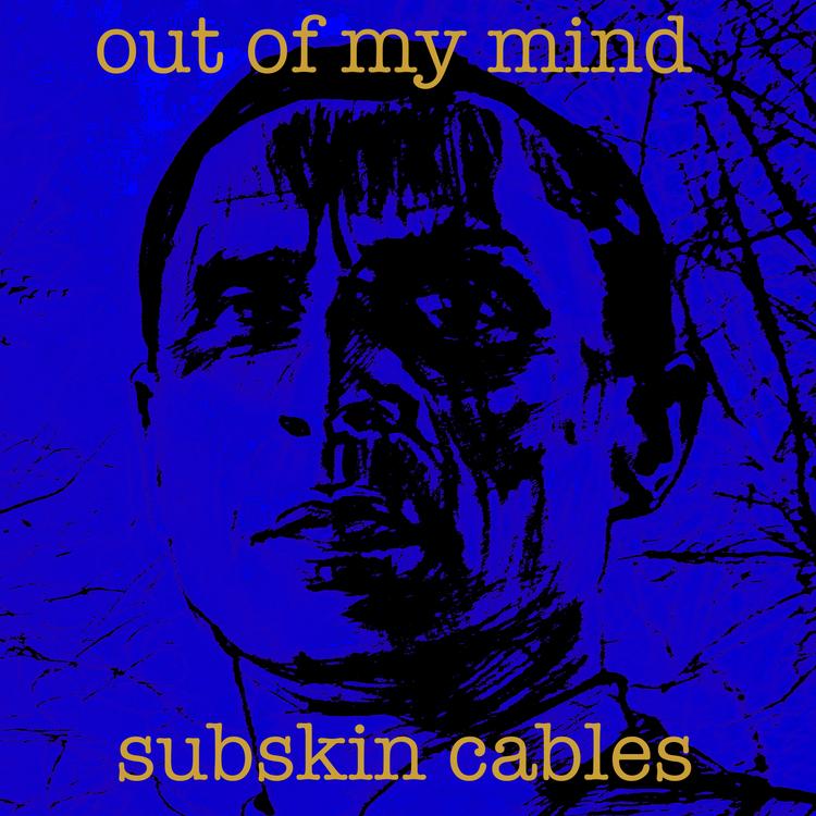 Subskin Cables's avatar image