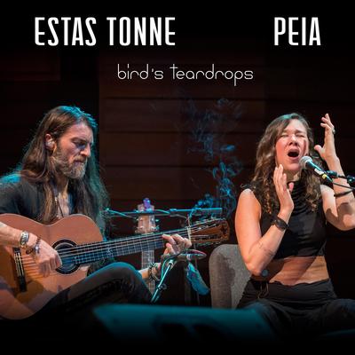 Bird's Teardrops (Live) By Estas Tonne, Peia's cover